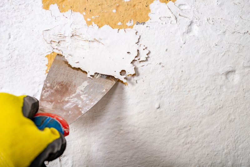 Deck Paint Stripping