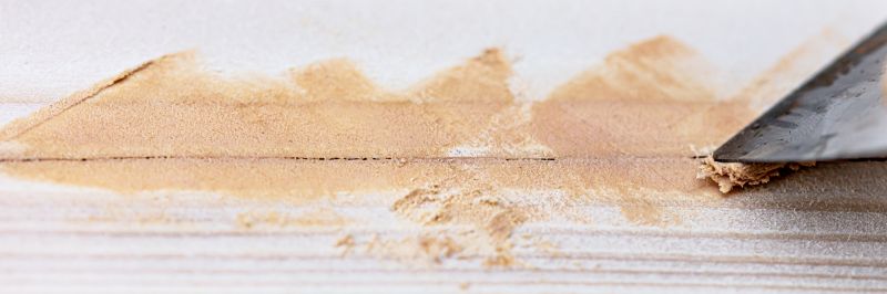 Paint Scraping